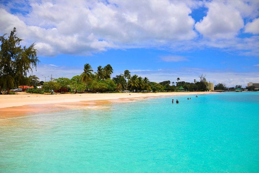 A Seasonal Guide on When to Visit Barbados